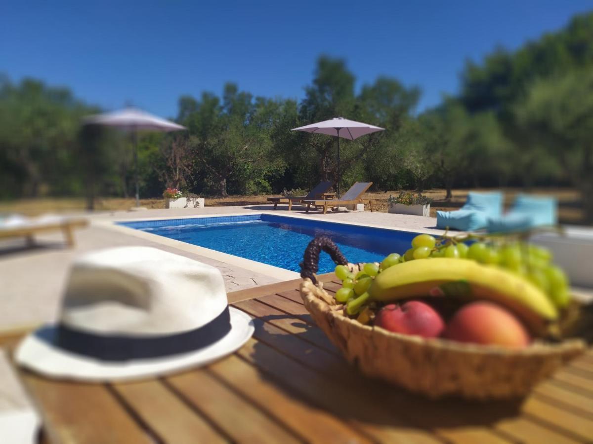Ferienhaus Loggos Summer House Vasilikí